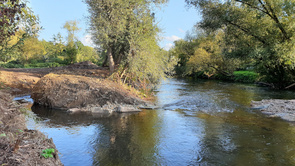Renaturation of the Wupper river